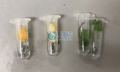 使用組織搗碎勻漿機(jī)對(duì)果皮和葉片研磨實(shí)驗(yàn)過程中需要注意那些問題？